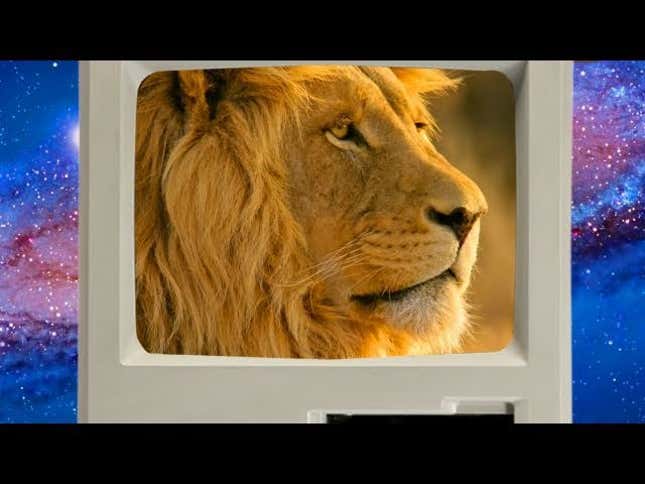 This Is Lifehacker's Summer Series: Mac OS X Lion Secrets, Faster PC Boot Times, and Drinking Water