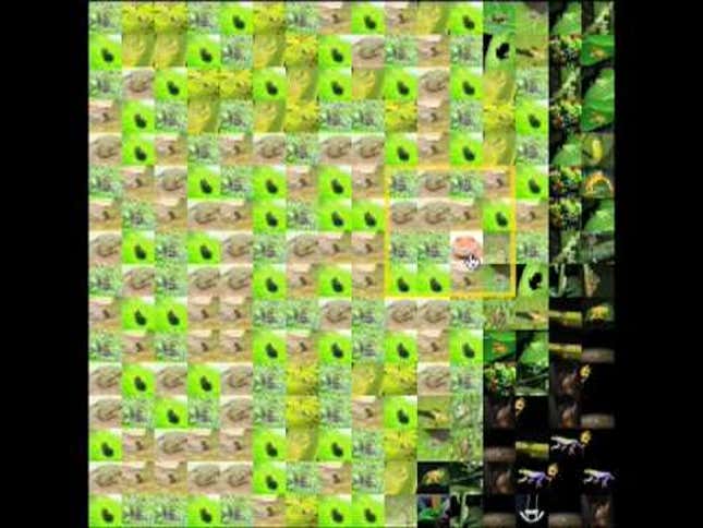 National Geographic's Infinite Photograph Is a Giant, Beautiful Photo Mosaic