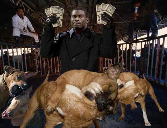 PETA Not Particularly Big Fans Of Our Man Vick