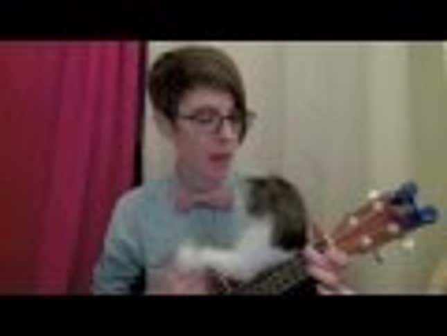 Girl And Her Ridiculously Adorable Kitten Perform A Nerdy Love Song