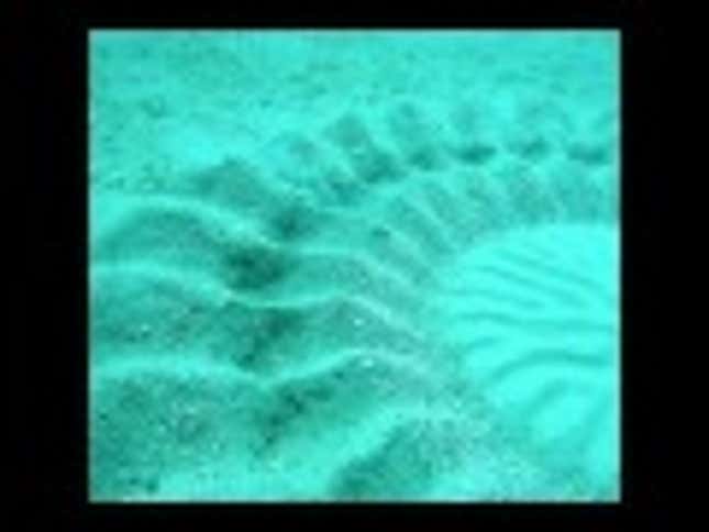 Japan's Mysterious Underwater Circles Are Lovely