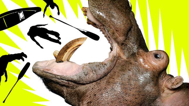 Image for article titled 9 Notorious Animals Who Fucked Shit Up Like a Boss