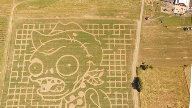 Spotted in Oregon: Real Five-Acre <em>Plants Vs. Zombies</em> Corn Maze