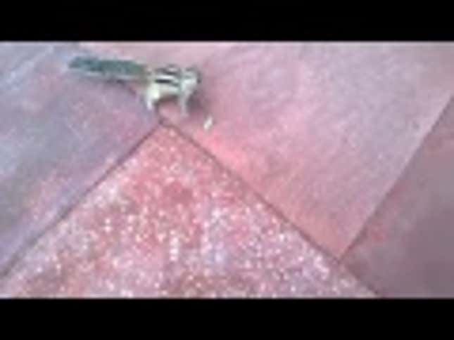 This Chipmunk Is Both Very Adorable and Very Terrifying