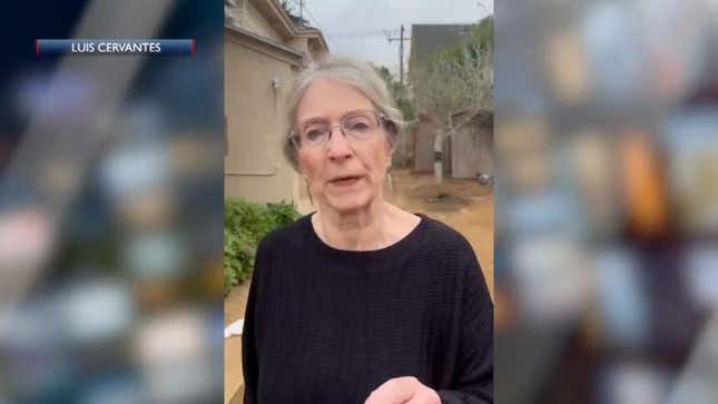 Santa Barbara Karen Charged For Racist Rant Against Latino Construction ...