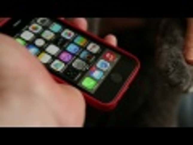 Cats Can Also Unlock An iPhone 5S