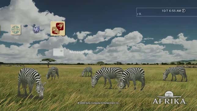 Zebras Made My PS3 More Beautiful