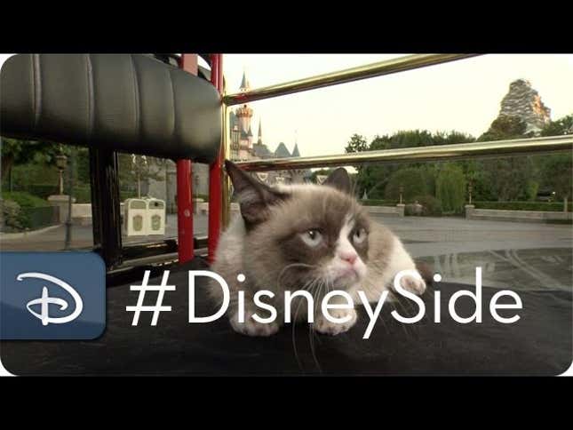 Grumpy Cat Meets Grumpy the Dwarf and Grumpiness Ensues