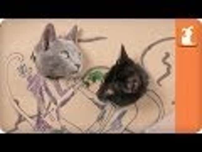 Surprise! The New <em>Hunger Games</em> Movie Is Now Starring Felines