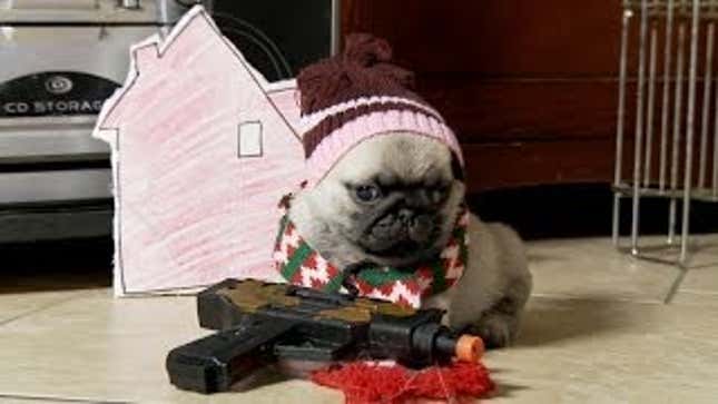<em>Home Alone</em> Starring a Pug Is a Surprisingly Excellent Movie