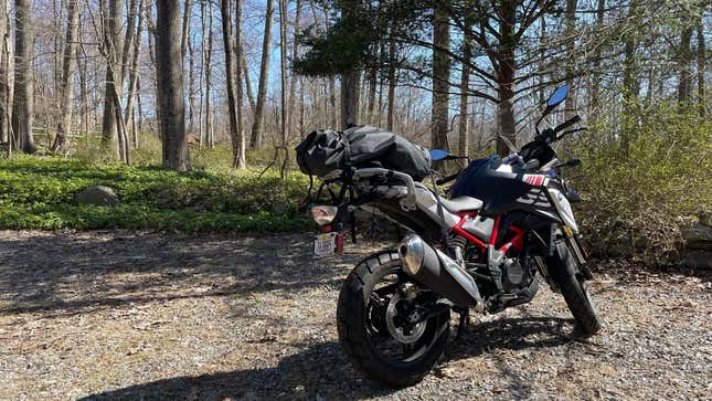 Motorcycle parked in the woods