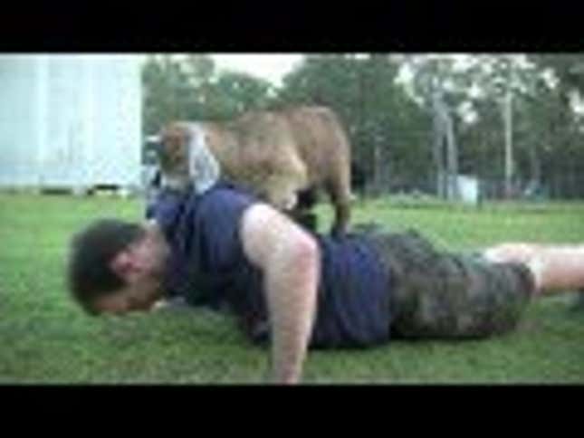 Baby Goat Push Ups Are the Best Push Ups