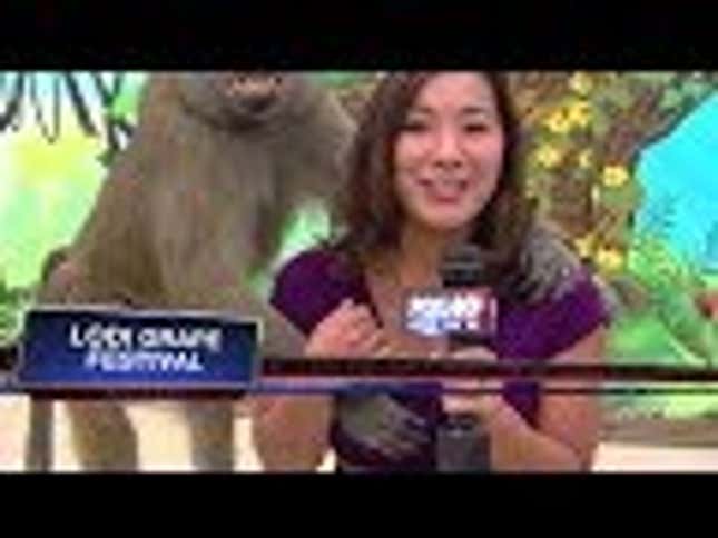 2013: The Year In TV News Bloopers