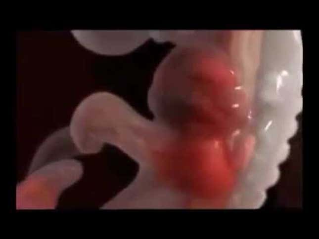 Educational Video Remix Makes Fertilization Look Like a Video Game