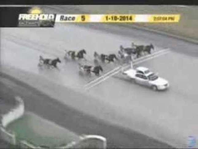 This Is What Happens When A Car Crashes Through A Horse Race