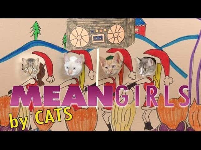 Here Is The <em>Mean Girls</em> Parody Starring Cats You Asked Santa For