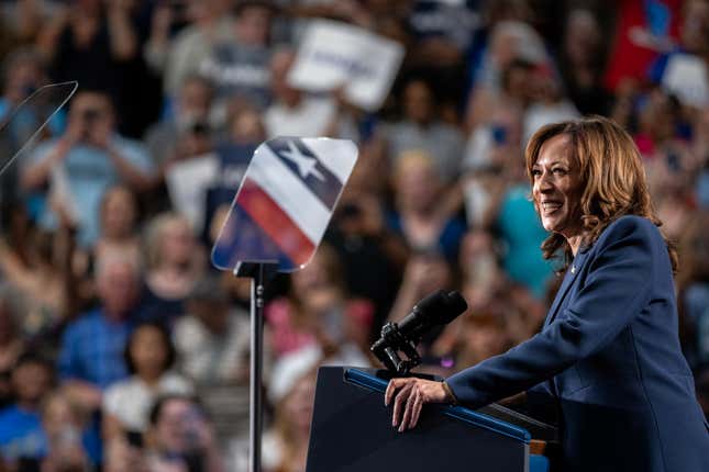 Vice President Kamala Harris speaks to supporters during a campaign rally in West Allis, Wis., on July 23, 2024. 
