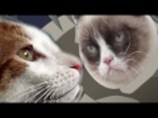 Cat Heads Make Gay Anime Love Scene Hilarious