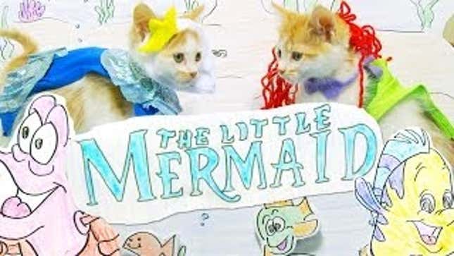 <em>The Little Mermaid</em> Gets the Kitten Remake It Deserves