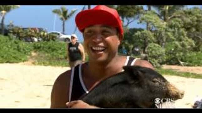 Hawaii Man Owns A Surfing Pig