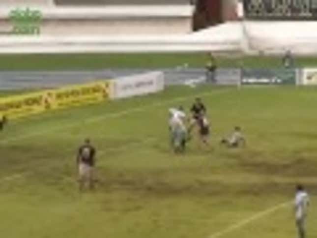 Adorable Dog Invades Soccer Pitch, Plays Defense