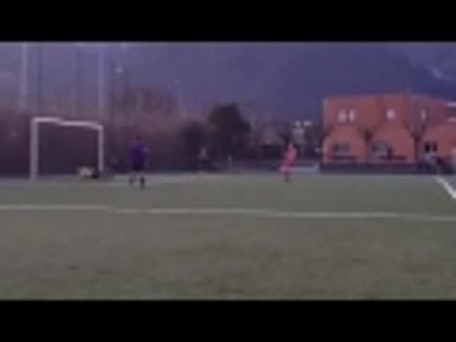 This Is Just A Terrible, Terrible Goal