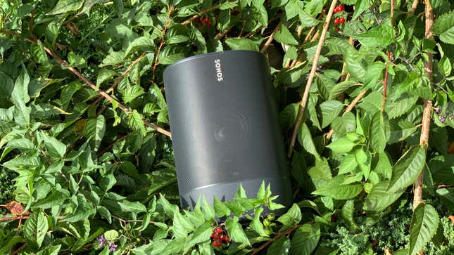 A photo of a Sonos speaker in the grass