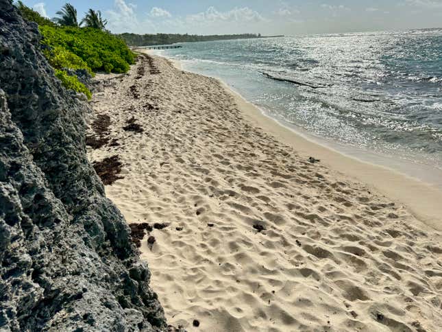 La plage de Spotts sur Grand Cayman, la plus grande île de la possession britannique des îles Caïmans, est vue le 11 février 2024.