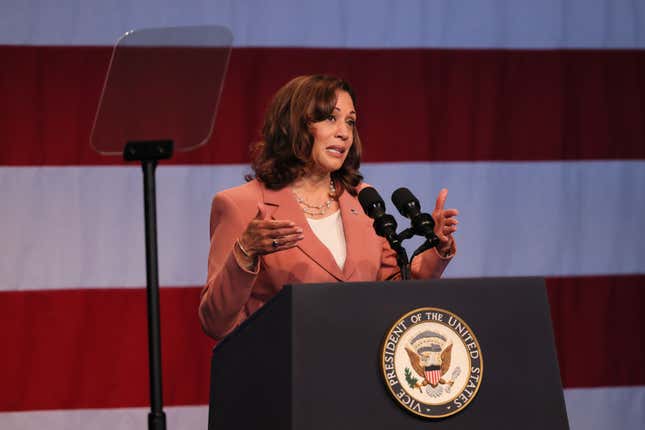 Vice President Kamala Harris speaks at the Billie Holiday Theatre in Restoration Plaza on July 28, 2022, in the Bedford-Stuyvesant neighborhood of Brooklyn borough in New York City.