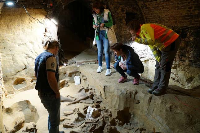 ÖAW archaeologist Hannah Parow-Souchon (right) explains the bone location to a local councillor (center) and cellar owner Andreas Pernestorfer (left). 