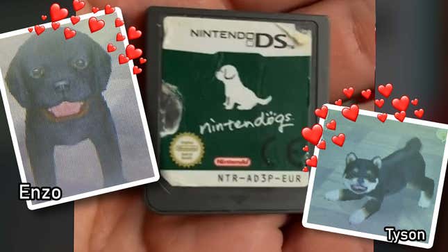 Nintendogs Lab and Friends - Nintendo DS, Nintendo DS