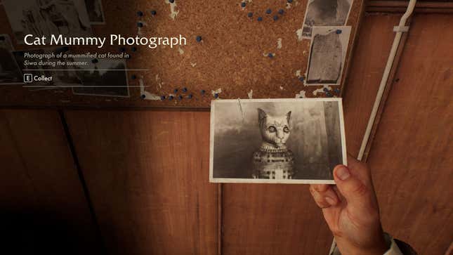 A photograph shows a picture of a mummified cat.