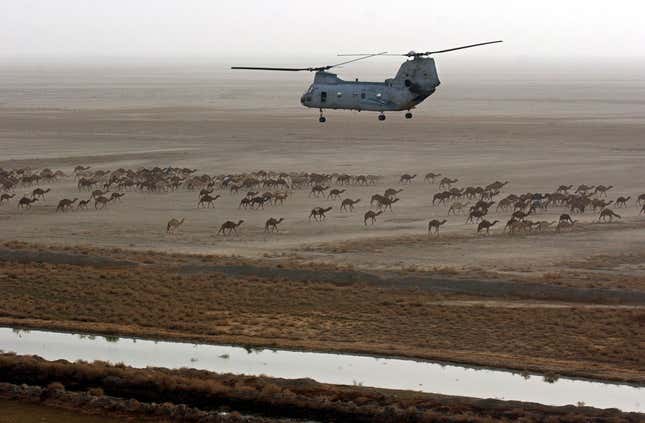 CH-46E Sea Knights on the Ground in Iraq