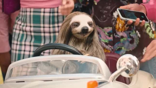 Alpha The Sloth in Slotherhouse