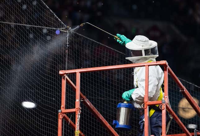 Apr 30, 2024; Phoenix, Arizona, USA; Beekeeper Matt Hilton sprays a swarm of bees atop the backstop netting causing a delay to the start of the Arizona Diamondbacks baseball game against the Los Angeles Dodgers at Chase Field.