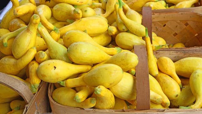 Yellow summer squash