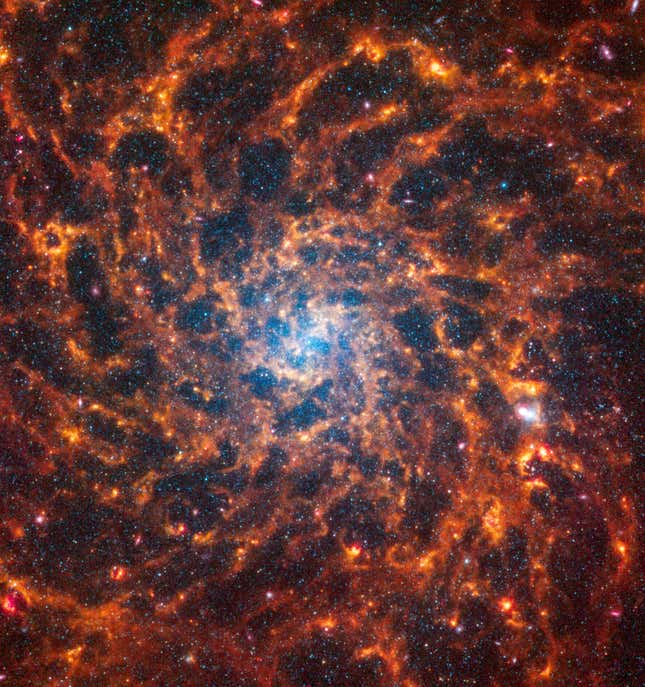 Image for article titled See Webb Telescope's 'Mind-Blowing' Collection of Spiral Galaxy Images