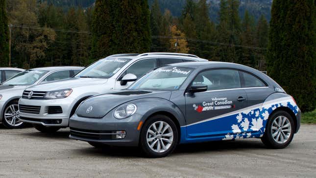 A line of diesel-powered Volkswagens