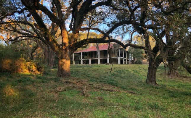 Image for article titled From Nottoway To Monticello,15 Slave Plantations With Brutal Backstories