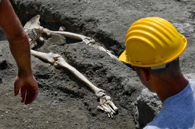 The skeleton of a victim of the eruption that destroyed Pompeii, see during an excavation on May 29.