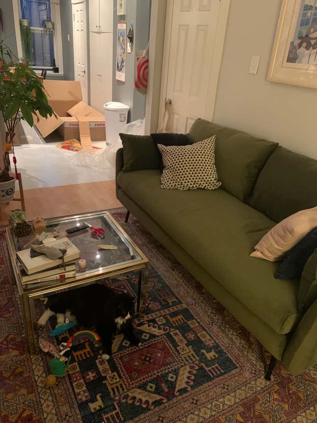 Image for article titled Two Grown Women Embark Upon an Existential, Adult Search for the Perfect Sofa