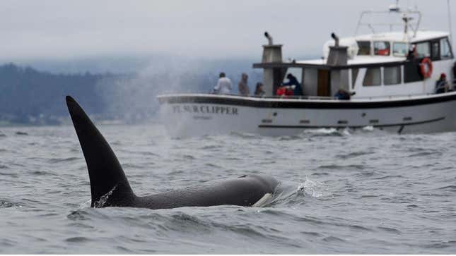 Image for article titled Our Favorite Beefs of 2023