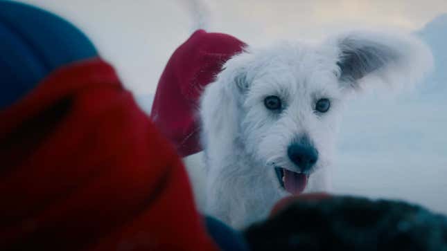 Krypto excitedly looking at Superman on the ground.