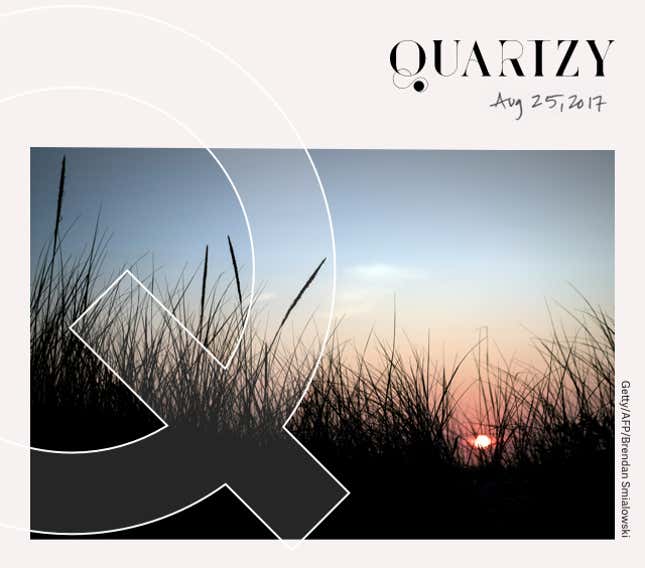 Image for article titled Quartzy: the still August edition