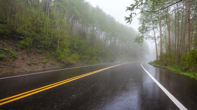 Guardsman Pass Road In Big Cottonwood Canyon Shimmers With Light Shortly After A Downpour