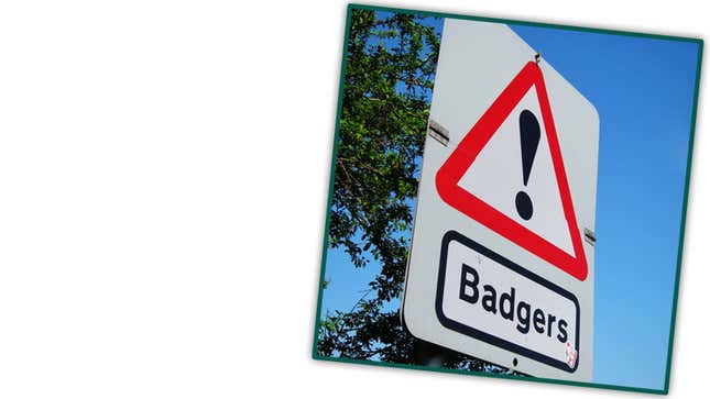 A photo of a badger warning sign in the UK. 