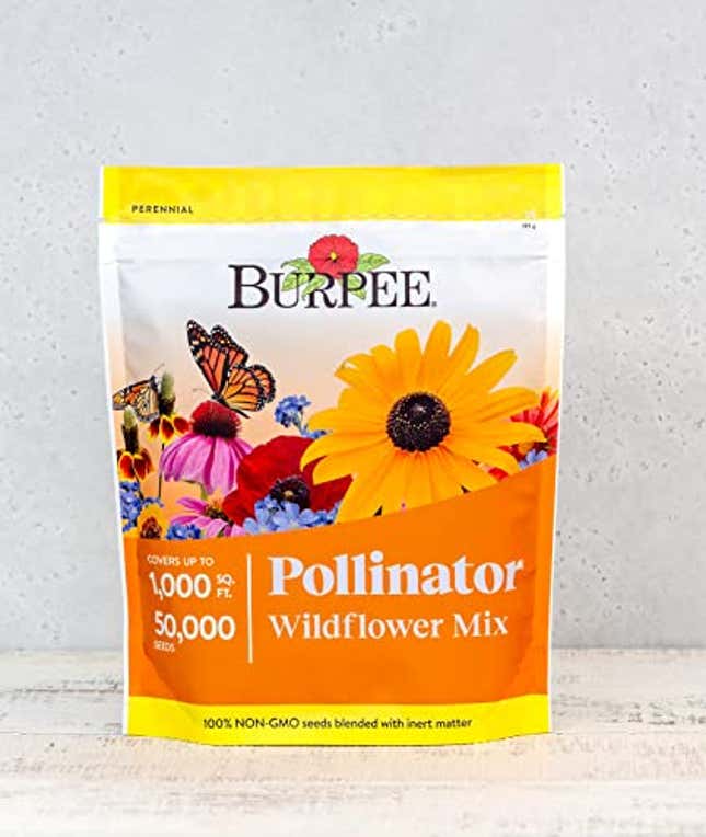 Image for article titled Burpee Wildflower Seed Mix for Pollinators, Now 15% Off