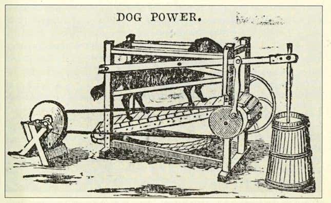 Advertisement from the 1850s showing a butter churn machine powered by a dog