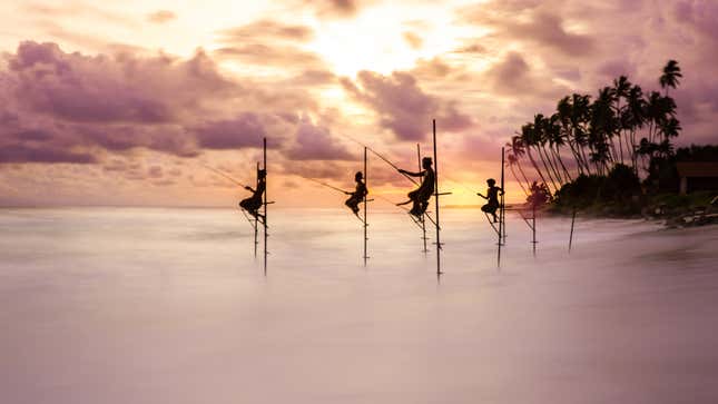 Pescadores de zancos al atardecer.