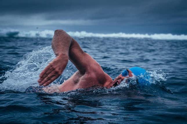 Lewis Pugh in Antarctic waters.